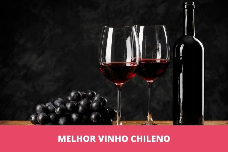 Melhor vinho chileno: os 10 melhores em 2023
